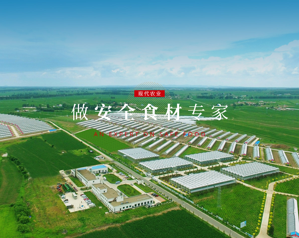 创世红海·(中国区)有限公司官网