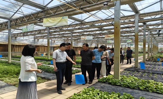 29.中国绿色食品发展中心有关辅导莅临农业总公司调查调研_副本.jpg 29.中国绿色食品发展中心有关辅导莅临农业总公司调查调研_副本.jpg